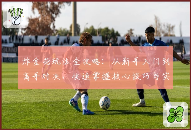 炸金花玩法全攻略:从新手入门到高手对决,快速掌握核心技巧与实战经验