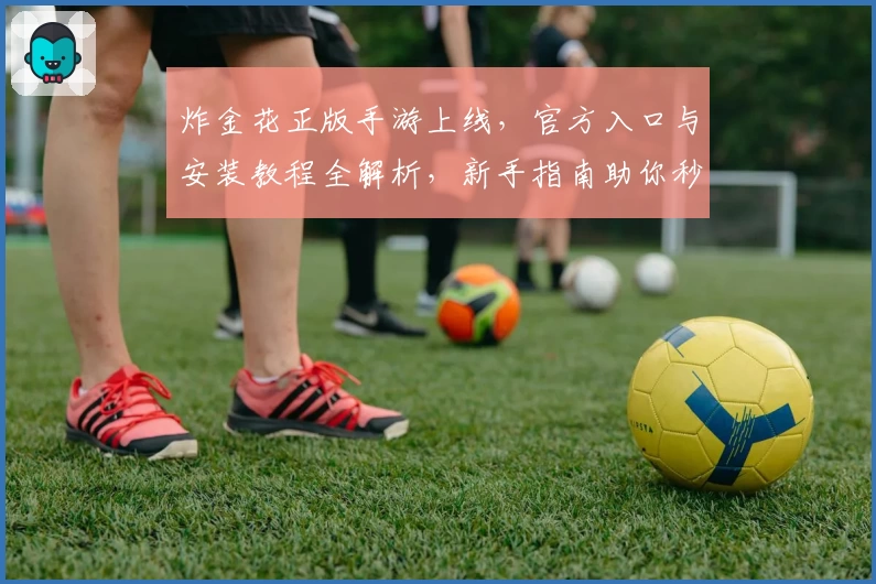 炸金花正版手游上线，官方入口与安装教程全解析，新手指南助你秒变高手