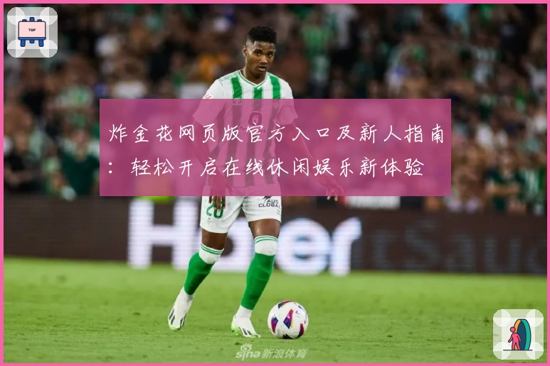 炸金花网页版官方入口及新人指南：轻松开启在线休闲娱乐新体验
