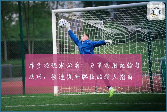 炸金花玩家必看：分享实用经验与技巧，快速提升牌技的新人指南