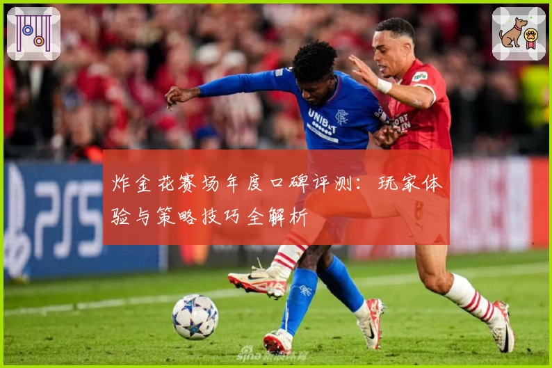 炸金花赛场年度口碑评测：玩家体验与策略技巧全解析