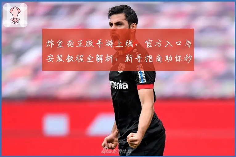 炸金花正版手游上线，官方入口与安装教程全解析，新手指南助你秒变高手