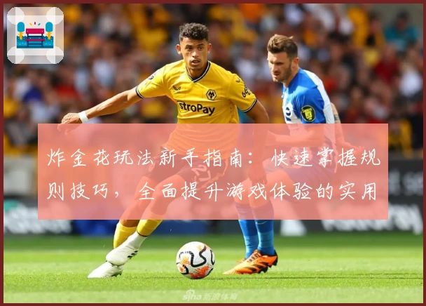 炸金花玩法新手指南：快速掌握规则技巧，全面提升游戏体验的实用教程