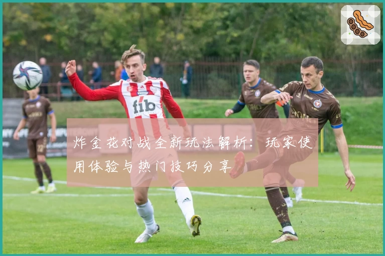 炸金花对战全新玩法解析：玩家使用体验与热门技巧分享