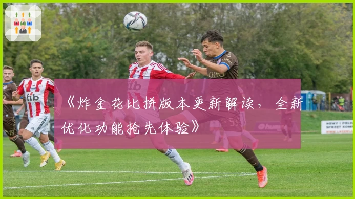 《炸金花比拼版本更新解读,全新优化功能抢先体验》