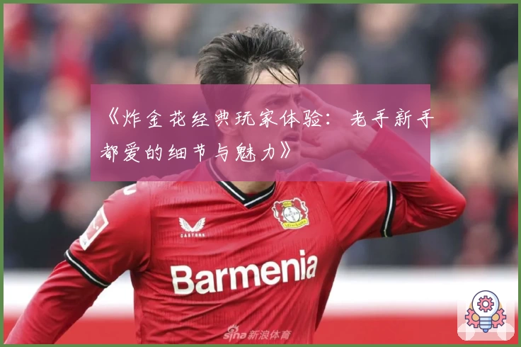 《炸金花经典玩家体验：老手新手都爱的细节与魅力》