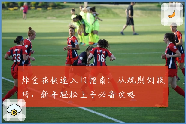 炸金花快速入门指南：从规则到技巧，新手轻松上手必备攻略