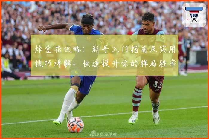 炸金花攻略：新手入门指南及实用技巧详解，快速提升你的牌局胜率